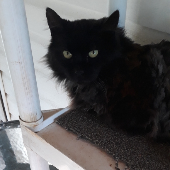 Giant Hello From Georgia! :) - Picture 10 of 10